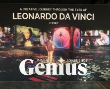 DA VINCI 3D IMMERSIVE PROJECT